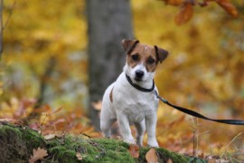 IMG 4579